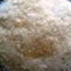 Magnesium Gluconate Manufacturers